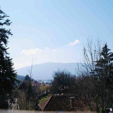 Maison 3 Chambres Au Lac D'Annecy, 30Min La Clusaz เมนตง-ซองต์-แบร์นา ภายนอก รูปภาพ