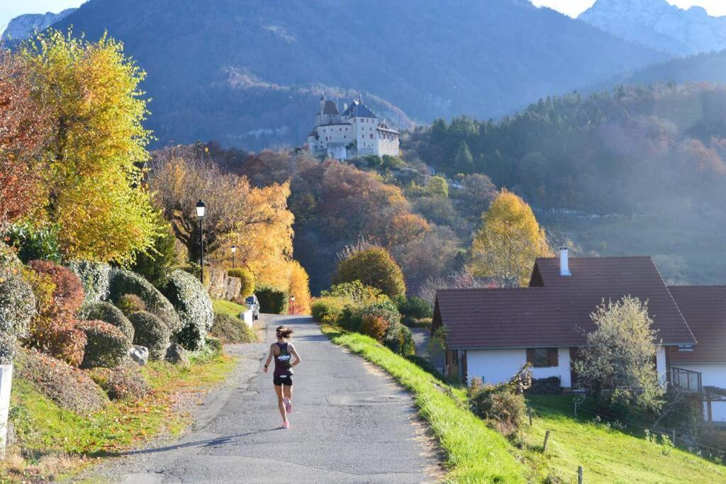 Maison 3 Chambres Au Lac D'Annecy, 30Min La Clusaz เมนตง-ซองต์-แบร์นา ภายนอก รูปภาพ