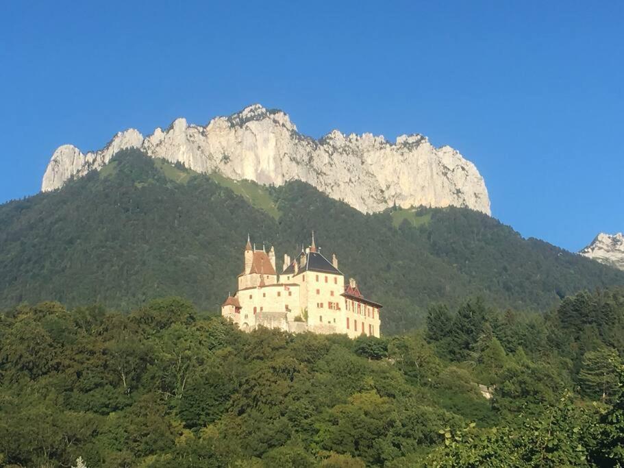 Maison 3 Chambres Au Lac D'Annecy, 30Min La Clusaz เมนตง-ซองต์-แบร์นา ภายนอก รูปภาพ